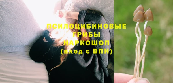 эйфоретик Сатка