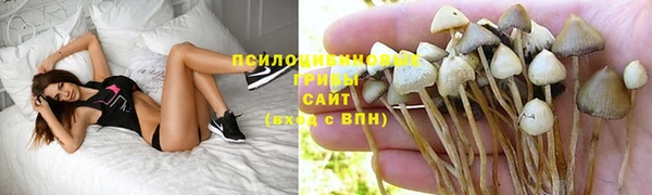 дистиллят марихуана Елизово