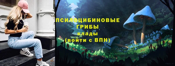 a pvp Елабуга