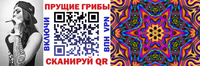 Псилоцибиновые грибы прущие грибы  Купить закладки  Межгорье 